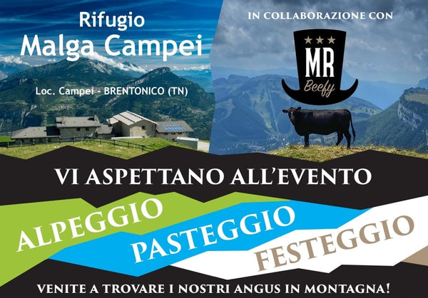 Alpeggio, Pasteggio, Festeggio! Venite a trovare i nostri Angus in montagna
